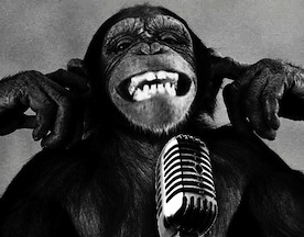 There’s No Such Thing As A Bad Microphone